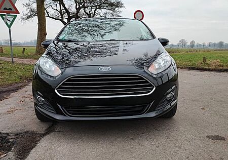 Ford Fiesta 1,25 60kW Trend Trend Top Gepflegt