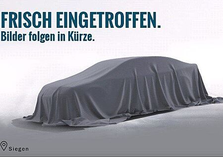 Mazda MX-30 E-SKYAKTIV *KAMERA*NAVI*