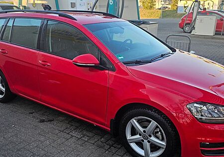 VW Golf Volkswagen 7 Variant 1.6 TDI Automatik, DSG, AHK.