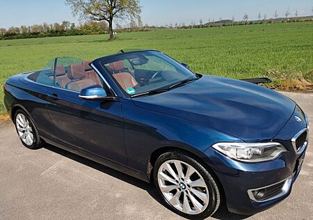 BMW 220i Cabrio Luxury Line Navi Leder Xenon 6-Gang