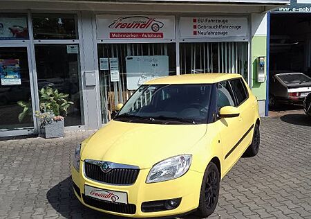 Skoda Fabia Ambiente Steuerkette neu!