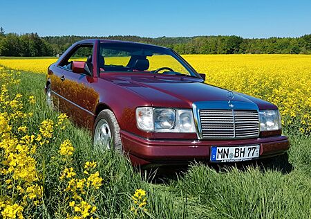 Mercedes-Benz 230