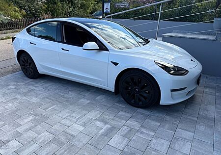 Tesla Model 3 Allradantrieb Long Range Ryzen