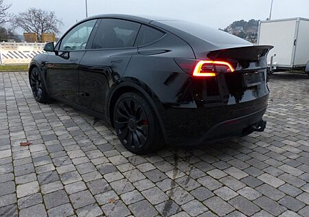 Tesla Model Y Performance Dual AWD Wächter Beta 8-Fach