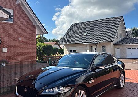 Jaguar XF 30d 300PS Automatik R-Sport