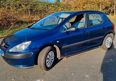 Peugeot 307 guter Zustand mit noch 1 Jahr TÜV