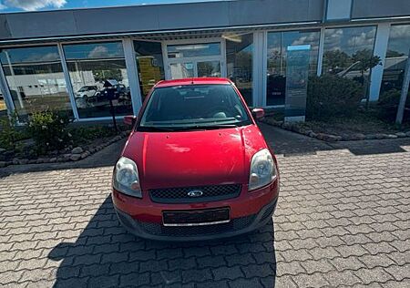 Ford Fiesta Fun
