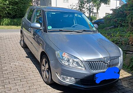 Skoda Fabia 1.2l TSI 63kW Green tec Fresh Fresh