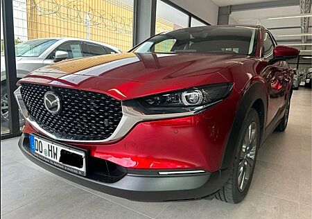 Mazda CX-30 Exclusive-Line 150 PS *DASO*DESI*