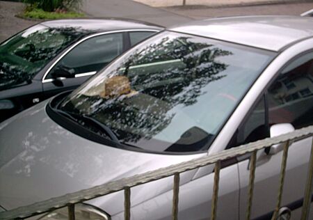 Citroën C8 HDi 135 FAP Style Style