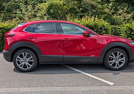 Mazda CX-30 AWD, 360°, AHK, Bose, Head Up, Allwetter