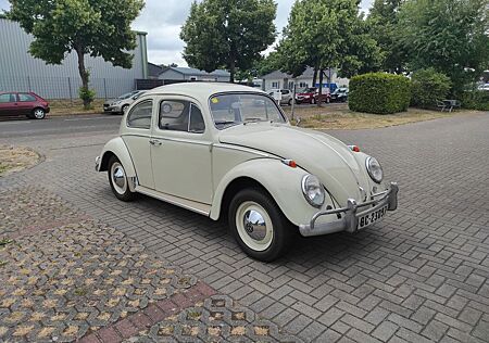 VW Käfer Volkswagen 1200 Export 1962