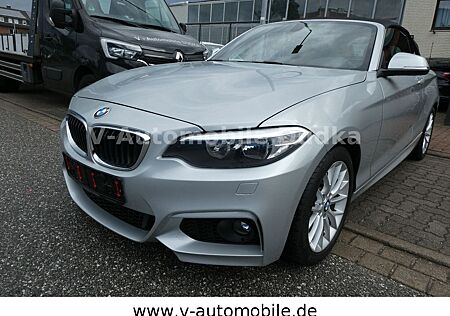 BMW 228i Cabrio M Sport Paket Leder
