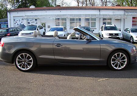 Audi A5 2.0 TFSI multitronic Cabriolet quattro Kamera