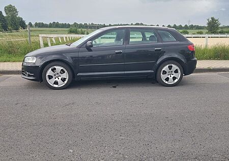 Audi A3 1.6 TDI (DPF) S tronic Attract. Sportb. A...
