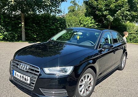 Audi A3 1.6 TDI Ambition Ambition