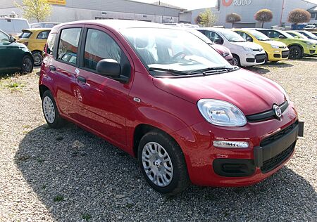 Fiat Panda Pandina ICON ROT