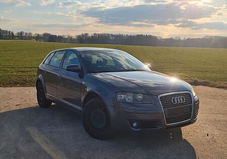 Audi A3 1.6 FSI Ambiente Sportback Ambiente