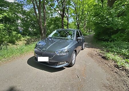 Skoda Fabia 1.0 MPI Ambition Green tec gepflegt