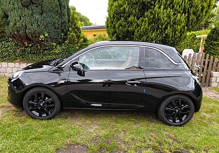 Opel Adam 120 Jahre 1.4 74kW 120 Jahre 44300km