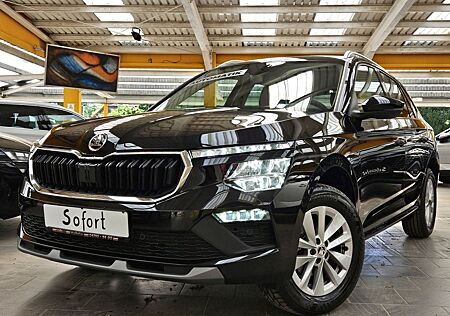 Skoda Kamiq TSI DSG Selection e.Heckklappe Winterpaket