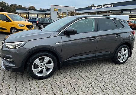 Opel Grandland X Innovation*Navi*Winterpaket*