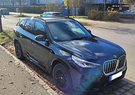 BMW X1 sDrive20i M-Sportpaket Navi LED PDC