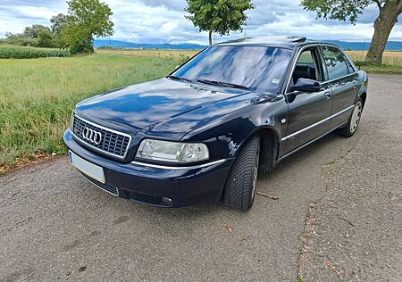 Audi A8 gebraucht kaufen Audi A8 6.0 tiptronic quattro Langversion -