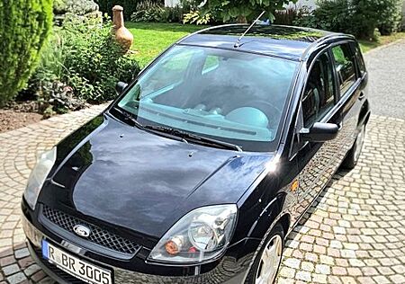 Ford Fiesta KERAMIKVERSIEGELUNG 101.283 KM