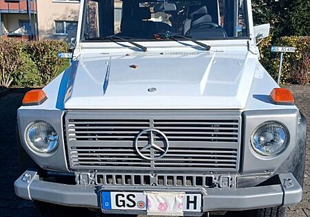 Mercedes-Benz G 250 -Wolf