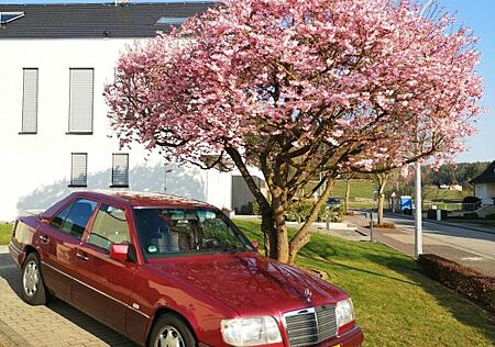 Mercedes-Benz E 220 / W124 - Youngtimer