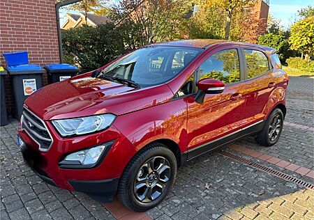 Ford EcoSport gebraucht kaufen Ford EcoSport 1,0 EcoBoost 74kW Trend Trend