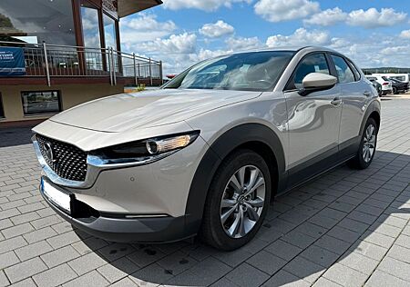 Mazda CX-3 CX-30 Selection NAVI AHK HEADUP KAMERA SHZ 18"