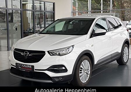 Opel Grandland X Grandland (X)Innovation/AUT/NAV/SHZ/L-HEIZ/R-KAM