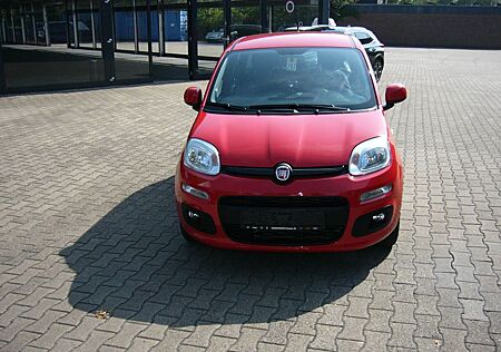 Fiat Panda 1.2 8V Lounge-Klima-Bluetooth-LM-PDC-Allwe