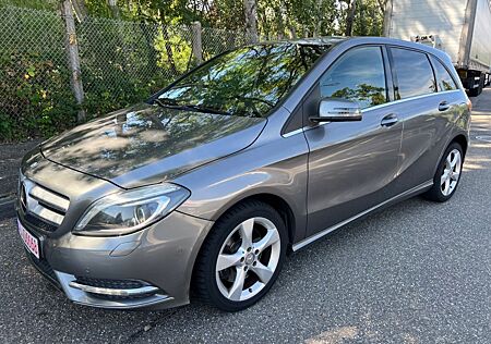 Mercedes-Benz B 220 CDI Bi-Xenon,Kamera