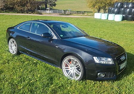 Audi A5 3.0 TDI (DPF) S tronic quattro -