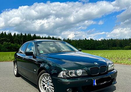 BMW 530d bitte lesen.