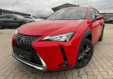 Lexus UX UX250H Luxury Line * 2 x Farbe leder