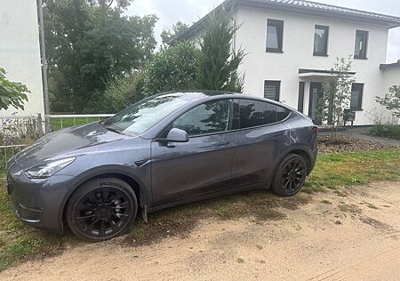 Tesla Model Y Performance Dual Motor AWD Performance