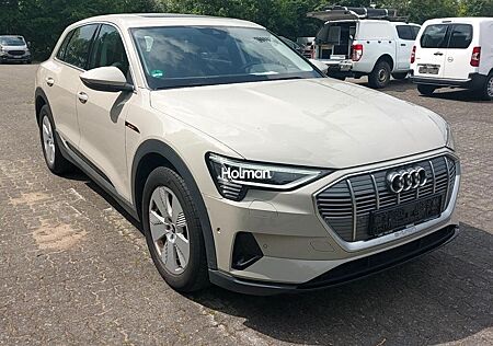 Audi e-tron 55 quattro Leder HUD Pano B&O Nightvision