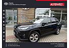 Toyota RAV 4 RAV4 Hybrid 4x4 Team Deutschland