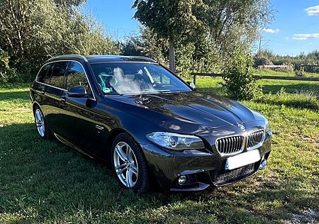 BMW 520d F11 Facelift | M-Paket | Top Zustand |