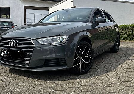 Audi A3 30 TDI Sportback Borbet Felgen/schekhef