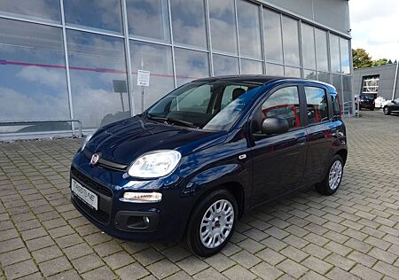 Fiat Panda 1,0 Mild Hybrid Base Firefly
