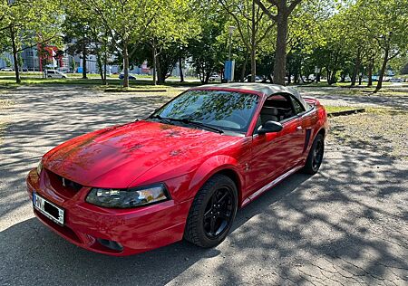 Ford Mustang SVT Cobra