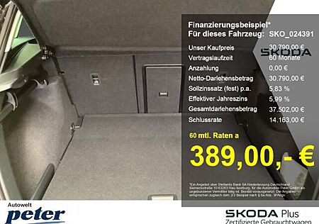 Skoda Karoq TSI DSG SELECTION **LED*KAMERA*PDC*SITZH.*