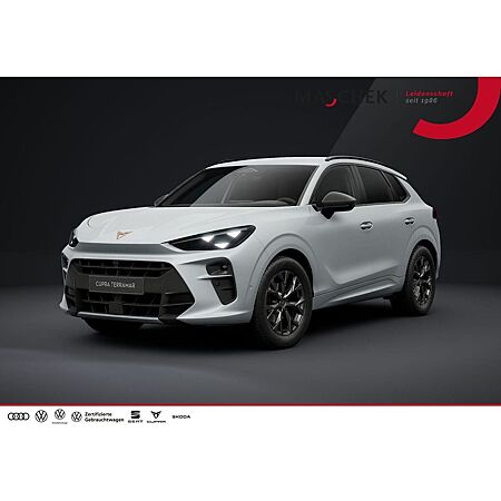 Cupra Terramar leasen