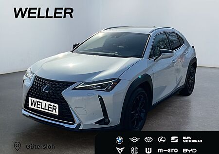 Lexus UX 250h Amazing Edition *Bi-LED*SHZ*CAM*CarPlay*
