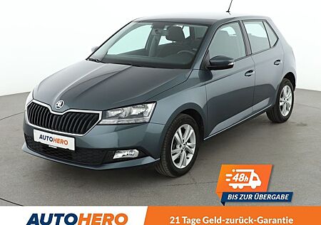 Skoda Fabia 1.0 TSI Ambition*LIM*CAM*PDC*SHZ*